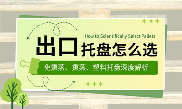 出口托盘怎么选？3大类型全解析