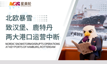 北欧暴雪致汉堡、鹿特丹两大港口运营中断