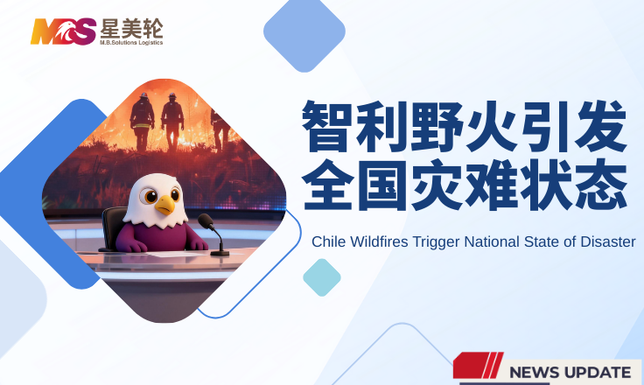 智利野火引发全国灾难状态