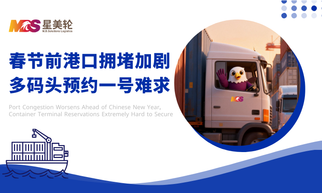 春节前港口拥堵加剧，多码头预约一号难求
