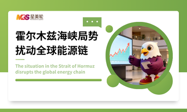 The situation in the Strait of Hormuz disrupts the global energy chain