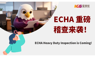 ECHA 重磅稽查来袭！