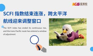 SCFI 指数结束连涨，跨太平洋航线迎来调整窗口