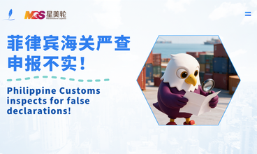 菲律宾海关严查申报不实！