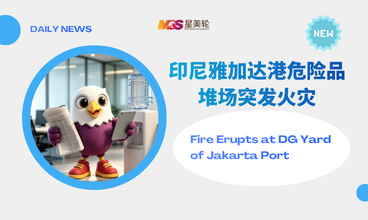 印尼雅加达港危险品堆场突发火灾